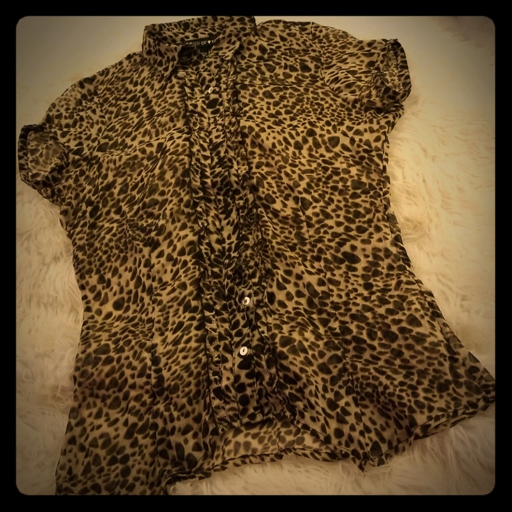 Leopard Print Shirt!! 🦁 - Picture 1 of 8